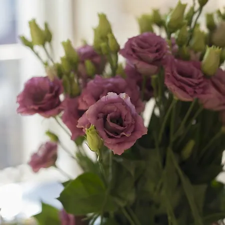 住宿加早餐酒店 都灵公寓 都灵