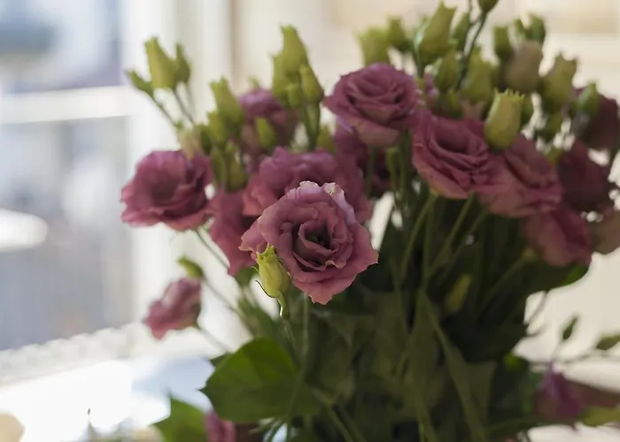 Bed and Breakfast Residenze Torinesi Τορίνο